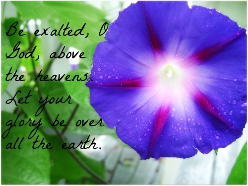 be exalted